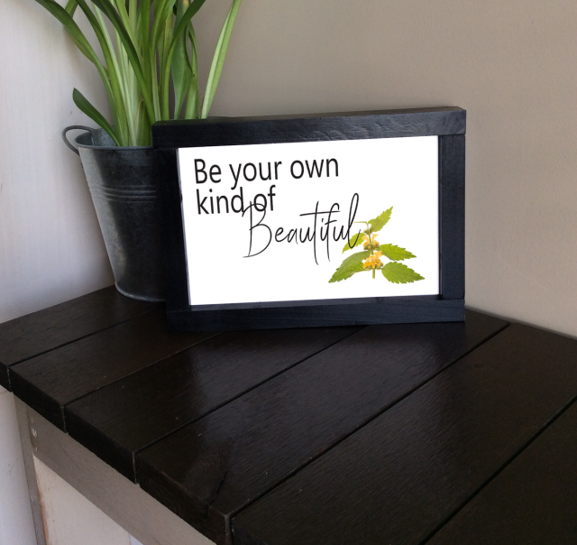 "Be Your Own Kind" Framed art - Small 6" x 9"